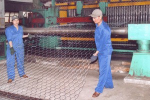 SFN chi trả 8% cổ tức đợt 2/2013 bằng tiền mặt