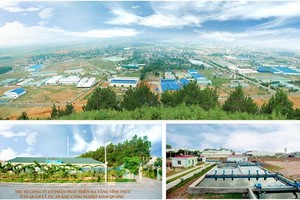 IDV trả 15% cổ tức bằng cổ phiếu năm 2014 