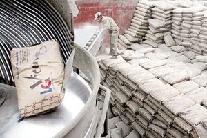 Xi măng VICEM tạm ứng 8% cổ tức năm 2013 bằng tiền mặt