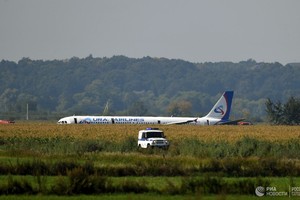 Chiếc máy bay Airbus A321 hạ cánh xuống cánh đồng ngô