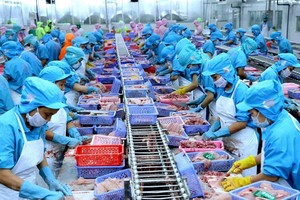 Năm 2020, lợi nhuận sau thuế của Nam Việt (ANV) giảm 71%
