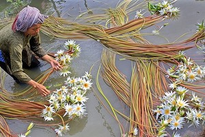 Sức mua hàng của phụ nữ tăng cao khi ngày càng nhiều phụ nữ tham gia thị trường lao động (ảnh minh họa)
