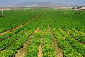 IFC đầu tư 230 tỷ đồng vào PAN Farm 