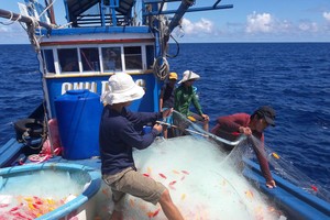 Tháo gỡ khó khăn cho vay theo Nghị định 67