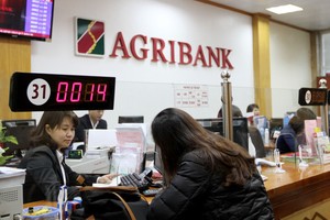 Agribank: Điểm tựa cho ngư dân “hồi sinh” sau sự cố môi trường biển
