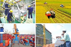 Doanh nghiệp châu Âu duy trì đánh giá tích cực về tình hình kinh doanh tại Việt Nam