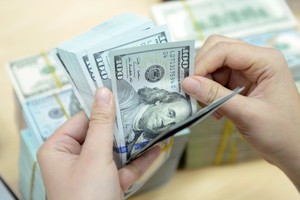 ADB phê duyệt khoản vay trị giá 100 triệu USD phát triển lĩnh vực tài chính ở Việt Nam