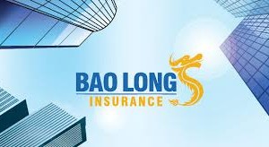 Bảo Long chi cổ tức năm 2017 bằng tiền mặt