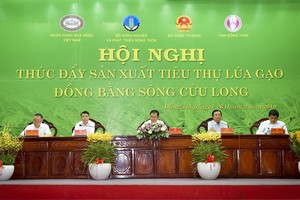 Hội nghị "Thúc đẩy sản xuất tiêu thụ lúa gạo Đồng bằng sông Cửu Long