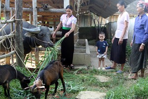 Điều kiện vay vốn theo quy định tại Quyết định số 2085/QĐ-TTg ngày 31/10/2016