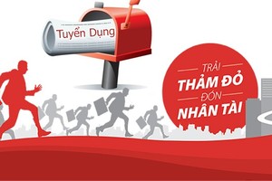 Bảo hiểm Bảo Long tuyển nhân sự