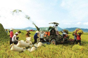 Về chính sách tín dụng phát triển nông nghiệp nông thôn