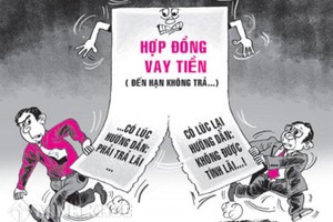 TCTD có phải niêm yết công khai hợp đồng theo mẫu về cho vay?