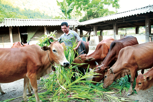 Hộ mới thoát nghèo có thêm niềm tin để vươn lên thoát nghèo bền vững.