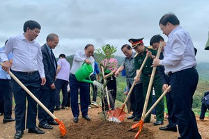 Chủ tịch nước Nguyễn Xuân Phúc tham gia trồng vườn cây mắc ca tại xã Nà Nhạn (Thành phố Điện Biên Phủ, tỉnh Điện Biên)
