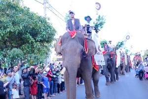 Lễ hội đường phố Buôn Ma Thuột: Hội tụ bản sắc văn hóa Tây Nguyên
