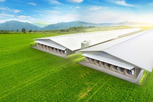 Ảnh thiết kế trang trại lợn Thái Dương (Nghệ An) - Ảnh: Lysaght Agrished.