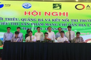 Hạt tiêu Quảng Trị được chỉ dẫn địa lý