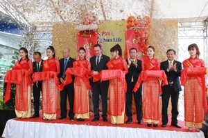 Lễ cắt băng khai trương Văn phòng kinh doanh PVI Sun Life Buôn Ma Thuột