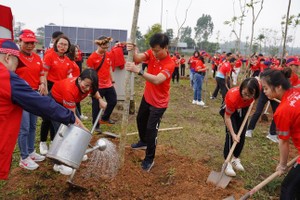 Lãnh đạo, cán bộ, nhân viên Dai-ichi Life Việt Nam trồng 100 cây xanh tại Khu di tích lịch sử Đền Hùng
