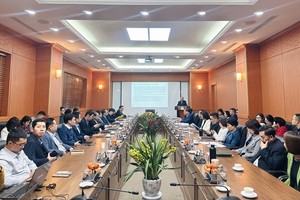 Năm 2024, VINARE (VNR) lãi 465 tỷ đồng