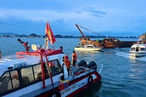 Đề nghị các doanh nghiệp bảo hiểm xác định thiệt hại trong vụ lật tàu Vịnh Xanh 58 và sẵn sàng cho bão số 3