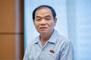 ĐBQH Lê Thanh Vân phát biểu tại họp tổ sáng 25/5