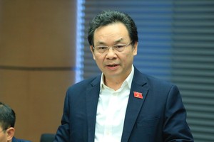 Đại biểu Quốc hội Hoàng Văn Cường phát biểu tại họp tổ