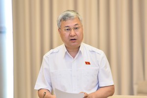 ĐBQH Trần Văn Lâm phát biểu tại họp tổ Quốc hội sáng 25/5