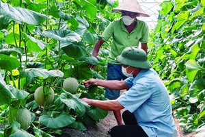 Phê duyệt danh sách Ban chỉ đạo quốc gia về kinh tế tập thể