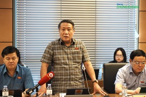 Đại biểu Hà Sỹ Đồng (đoàn Quảng Trị) phát biểu tại tổ 15 sáng 13/11 (Ảnh: M.Minh)