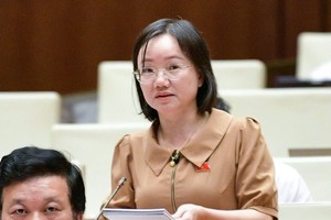 Đón đầu đường sắt cao tốc, đại biểu Quốc hội của Nghệ An và Thanh Hoá xin mở thêm nhà ga