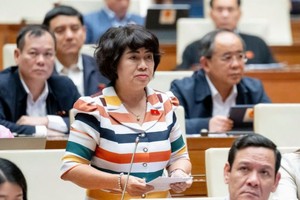 Đại biểu Nguyễn Thị Lệ Thủy (đoàn Bến Tre) phát biểu tại hội trường chiều 27/11