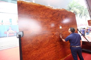 Sập gỗ 3,7 tỷ đồng thu hút người xem tại Vietbuild 2018