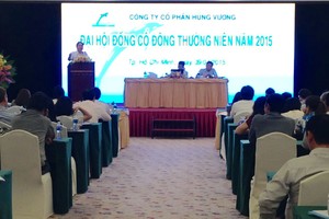 ĐHCĐ HVG: Đặt nhiều kế hoạch tham vọng