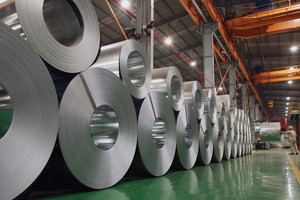 Cổ phiếu Thép tấm lá Thống Nhất (TNS) tiếp tục bị hạn chế giao dịch