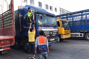 Cửa khẩu Hữu Nghị- Lạng Sơn triển khai bảo hiểm bắt buộc trách nhiệm dân sự cho chủ xe Trung Quốc