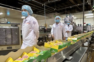 Mondelez Kinh Đô tìm kiếm và mở rộng hợp tác với các nhà sản xuất trứng gà trên cả nước