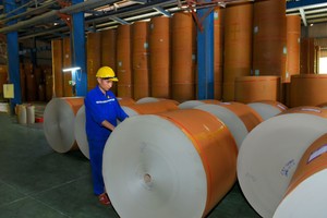 Tetra Pak hợp tác với Biopa và Vạn Điểm thực hiện thu gom và tái chế vỏ hộp giấy đựng đồ uống