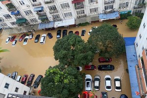 Hiệp hội bảo hiểm Việt Nam đề nghị các doanh nghiệp bảo hiểm chung tay hỗ trợ đồng bào bị ảnh hưởng bởi thiên tai