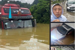 Giám định viên BSH tiếp cận hiện trường 