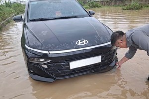 Tập đoàn bảo hiểm DBV tiếp nhận 226 vụ tổn thất do bão số 10