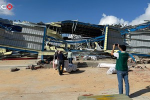 BIC ghi nhận thiệt hại hơn 60 tỷ đồng chỉ sau 3 ngày bão số 13 đổ bộ