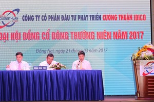 Cường Thuận IDICO: 3 mỏ đá sẽ sẵn sàng cho xây dựng sân bay Long Thành