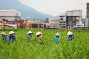 Ngày 17/10, SBT sẽ niêm yết bổ sung hơn 303 triệu cổ phiếu để hoán đổi cổ phiếu BHS