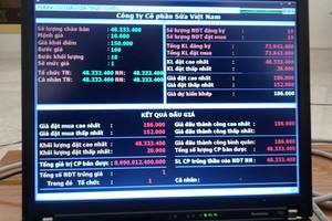 Kết quả đấu giá cổ phiếu VNM được công bố chiều 10/11.