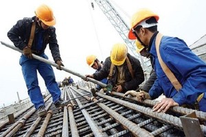 Hacisco (HAS) tạm ứng cổ tức đợt 1 năm 2017 tỷ lệ 5%