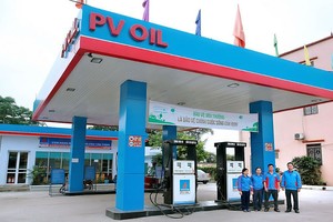 OIL giao dịch sôi động phiên chào sàn UPCoM