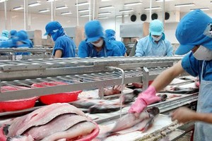 VHC: Xuất khẩu 6 tháng đầu năm đạt 163 triệu USD
