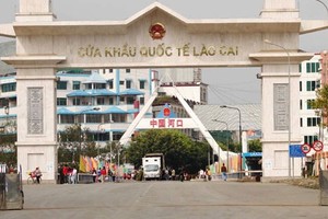 Nhập siêu từ thị trường Trung Quốc đạt mức 17 tỷ USD